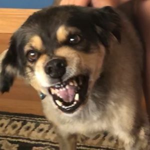 Meet your Posher, Katelyn